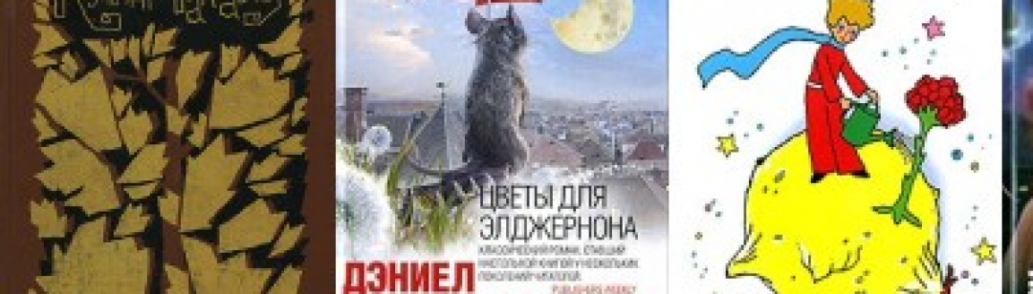 Прочла №2