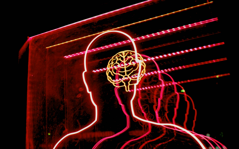 Книги, о которых говорят: «Красная таблетка» Андрея Курпатова