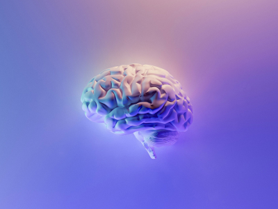 Книги, о которых говорят: «Думай медленно… решай быстро» Книги, о которых говорят: «Думай медленно… решай быстро»