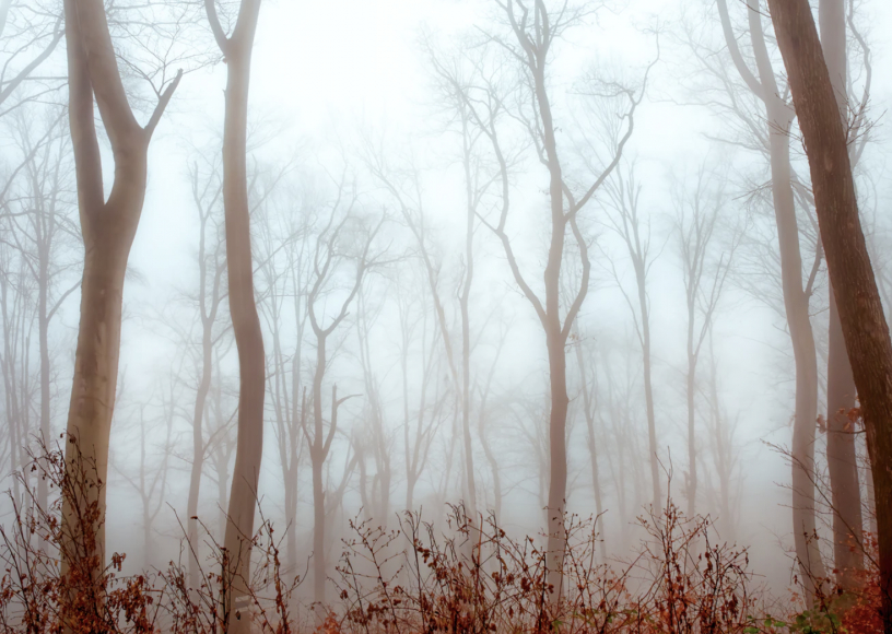 Избранные цитаты Кадзуо Исигуро: у писателя сегодня день рождения