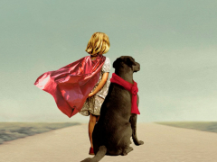 Книги, о которых говорят: «Бабушка велела кланяться и передать, что просит прощения»