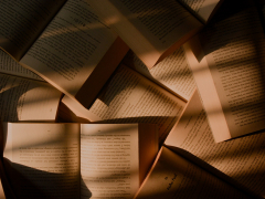 Что почитать на выходных: «Барсук» Фредерика Перссона Винтера