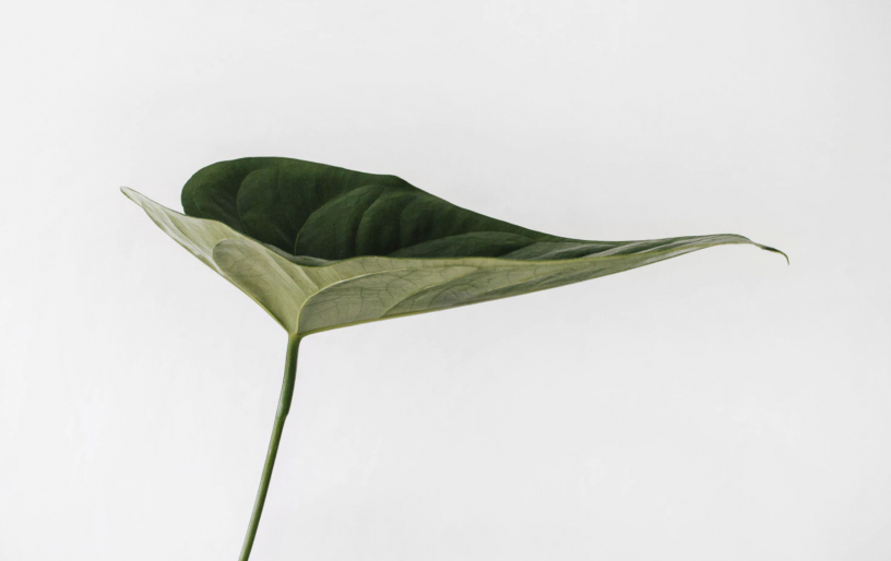 Книги, которые помогут обрести устойчивость