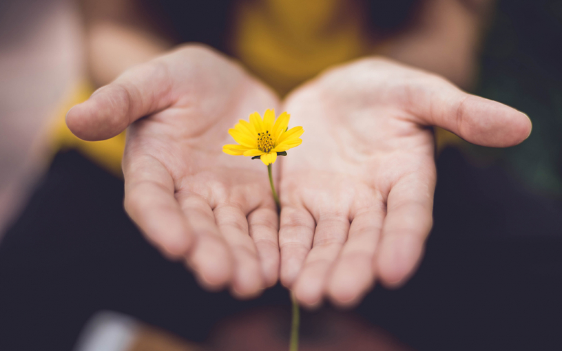 Быть человеком: цитаты