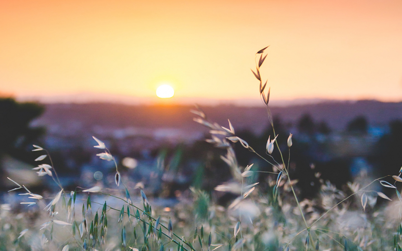 Что почитать на выходных: «Комфортная книга» Мэтта Хейга