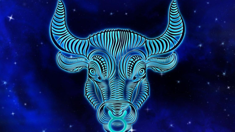 Что почитать Тельцам?