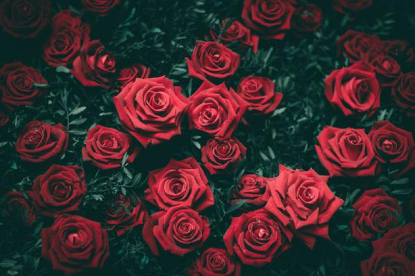 Тереза Медейрос - Шипы и розы (Шепот роз) читать онлайн
