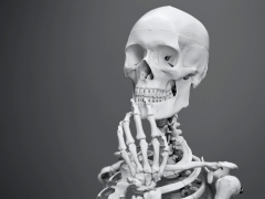 Что почитать на выходных: «О дивный тленный мир»