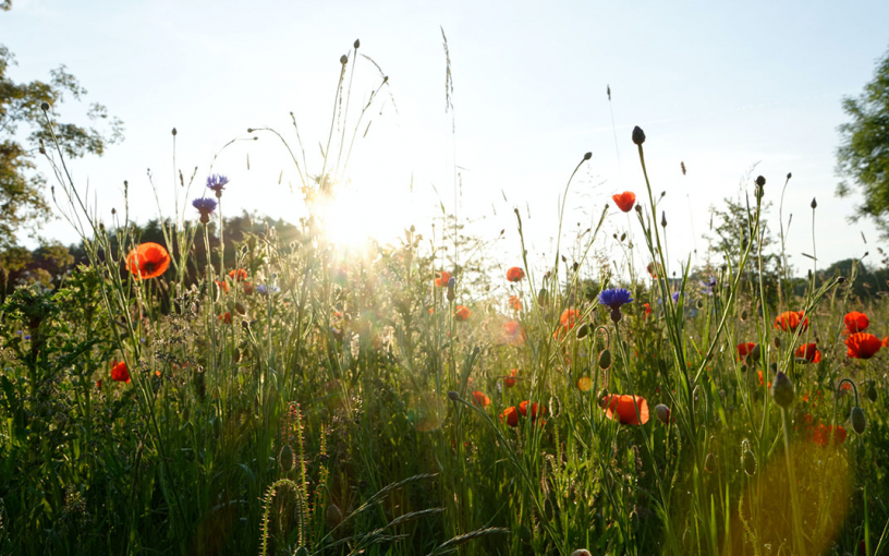 Цитаты про доброе утро