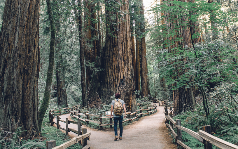 Цитаты про дорогу: прошлись по книжным страницам