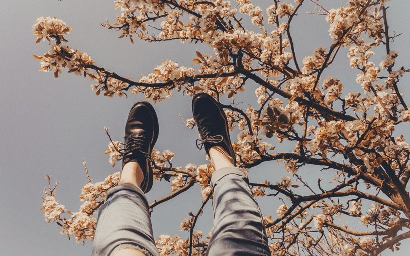 Цитаты про мечту