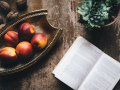 Что читать летом-2020 Что читать летом-2020