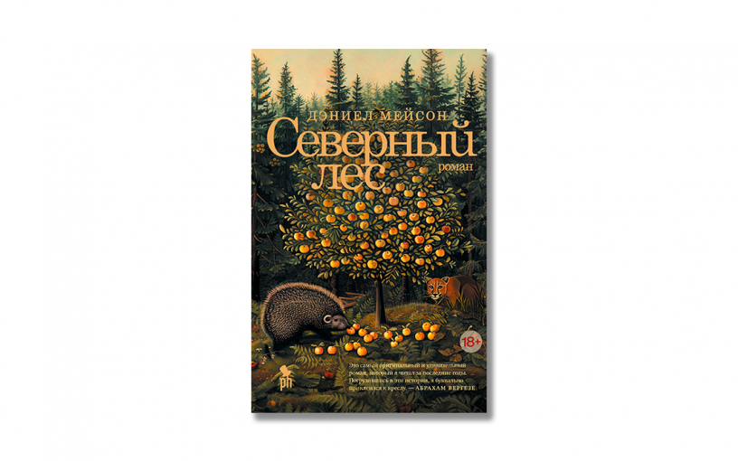 «Северный лес»: чему стоит поучиться «у дуба, у берёзы»? «Северный лес»: чему стоит поучиться «у дуба, у берёзы»?