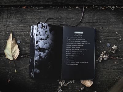 Лучшие современные стихи Лучшие современные стихи