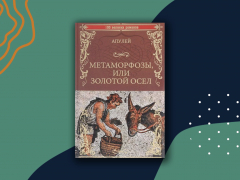 «Метаморфозы» Апулея: краткое содержание «Метаморфозы» Апулея: краткое содержание