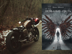 «Незваный гость» Ильи Шумея: где брать удачу и точно стоит ли?