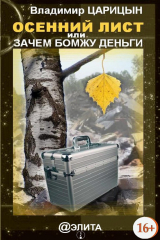 книга Осенний лист, или Зачем бомжу деньги