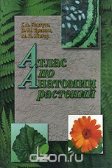 книга Атлас по анатомии растений