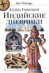 книга Индийские дневники