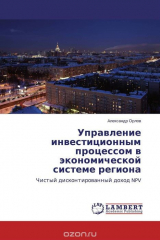 книга Управление инвестиционным процессом в экономической системе региона