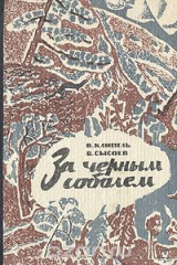 книга За черным соболем