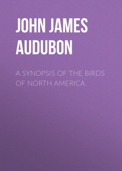Книга A Synopsis of the Birds of North America на ReadRate.com книга A Synopsis of the Birds of North America