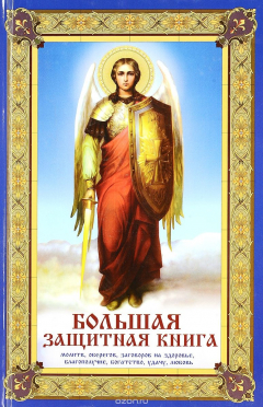 книга Большая защитная книга