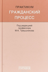 книга Гражданский процесс. Практикум