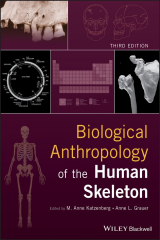 книга Biological Anthropology of the Human Skeleton