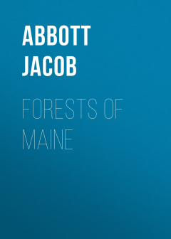 Книга Forests of Maine на ReadRate.com книга Forests of Maine