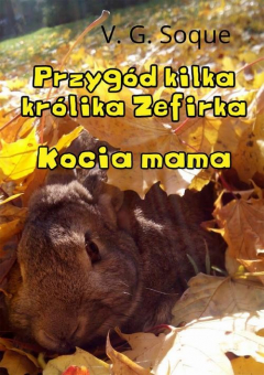 Книга Przyg?d kilka kr?lika Zefirka. Kocia mama на ReadRate.com книга Przyg?d kilka kr?lika Zefirka. Kocia mama