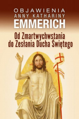 книга Od Zmartwychwstania do Zesłania Ducha Świętego