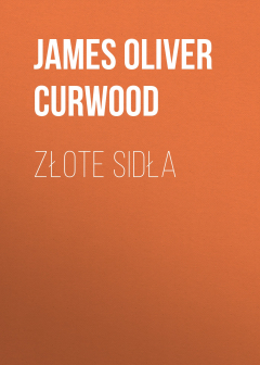 Книга Złote sidła на ReadRate.com книга Złote sidła
