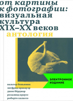 Книга От картины к фотографии: визуальная культура XIX-XX веков на ReadRate.com книга От картины к фотографии: визуальная культура XIX-XX веков