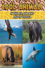 книга Cool Animals: In The Air, On Land and In The Sea