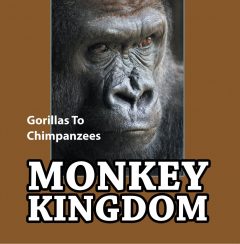 Книга Monkey Kingdom: Gorillas To Chimpanzees на ReadRate.com книга Monkey Kingdom: Gorillas To Chimpanzees