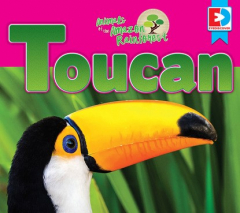 Книга Animals of the Amazon Rainforest: Toucan на ReadRate.com книга Animals of the Amazon Rainforest: Toucan