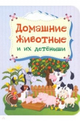 книга Домашние животные и их детёныши