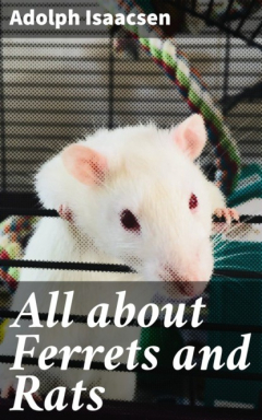Книга All about Ferrets and Rats на ReadRate.com книга All about Ferrets and Rats