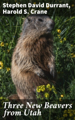 Книга Three New Beavers from Utah на ReadRate.com книга Three New Beavers from Utah