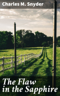 книга The Flaw in the Sapphire