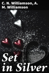 книга Set in Silver