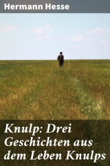 книга Knulp: Drei Geschichten aus dem Leben Knulps