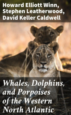 Книга Whales, Dolphins, and Porpoises of the Western North Atlantic на ReadRate.com книга Whales, Dolphins, and Porpoises of the Western North Atlantic