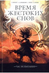 книга Время жестоких снов