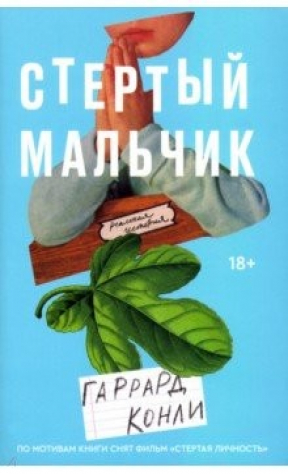 книга Стёртый мальчик