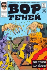 книга Вор теней