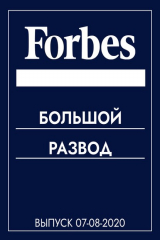 книга Большой развод