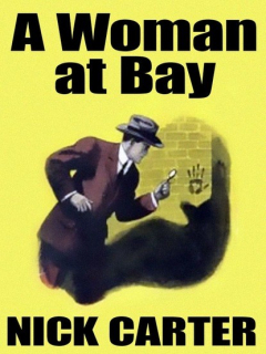 книга A Woman at Bay