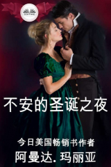 книга 不安的圣诞之夜